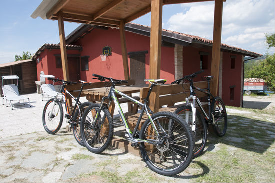 Mountain bike per escursioni
