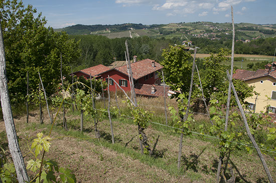 Panorama dai vigneti dell'agriturismo